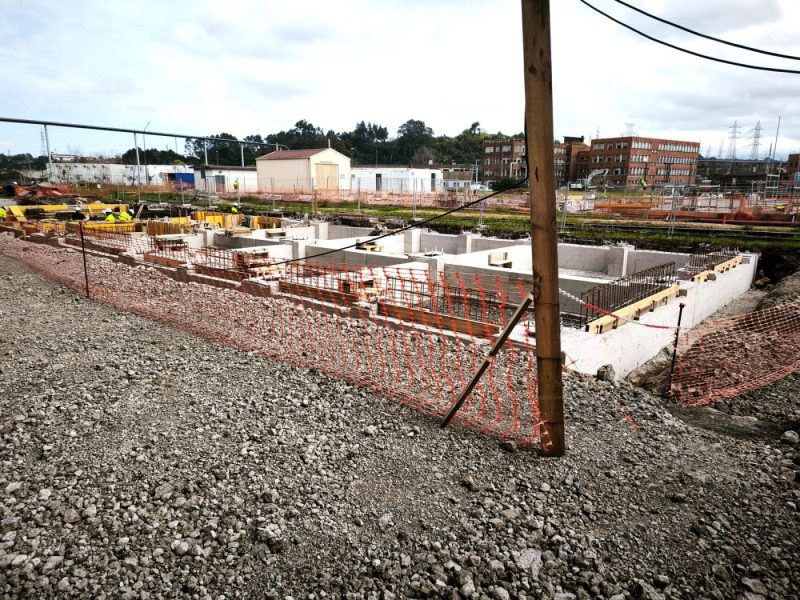 optimized IMG 20250402 160005 (1)